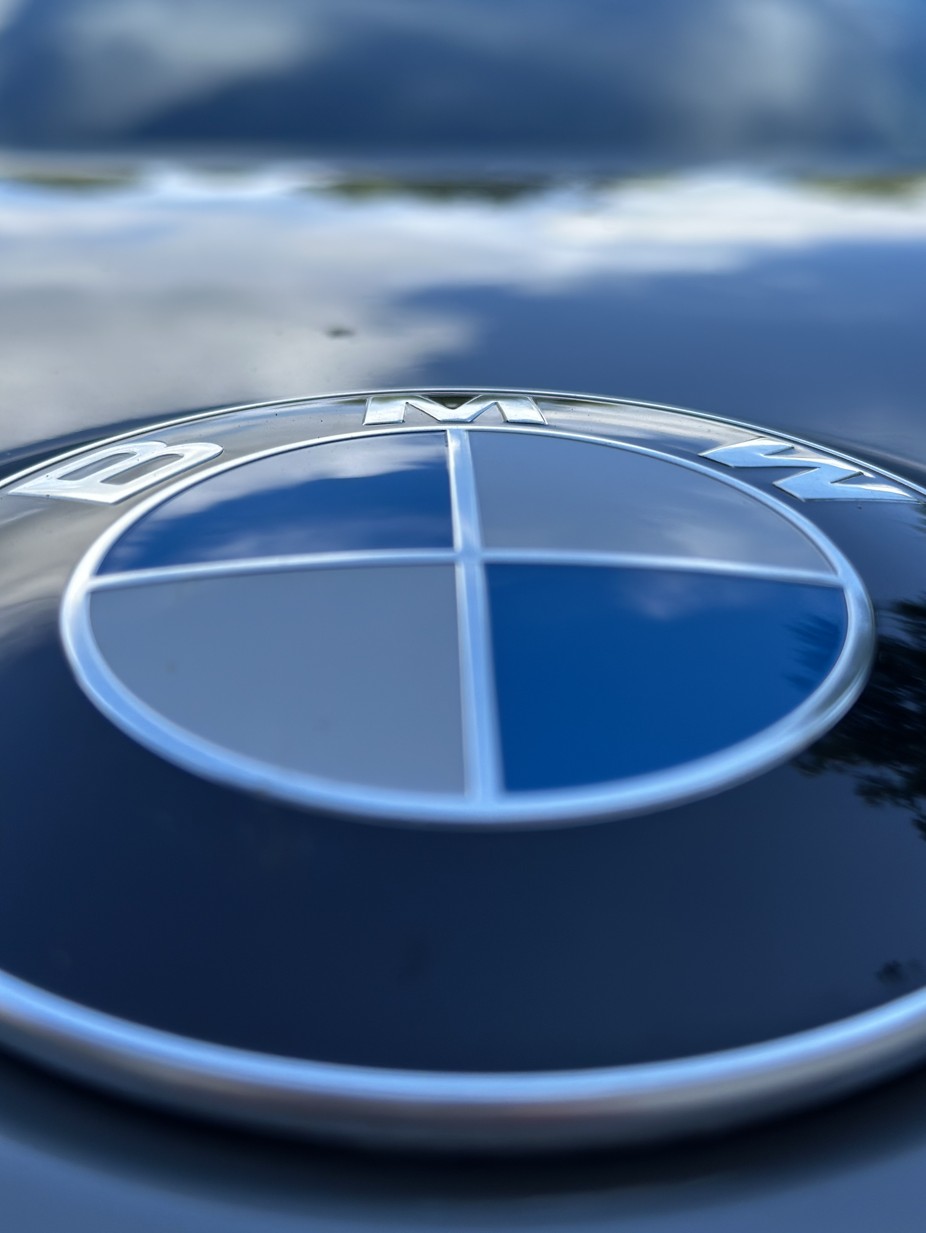 Close up BMW logo view